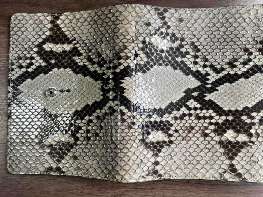 FUNNY N-Book パイソン(日焼け・下側)