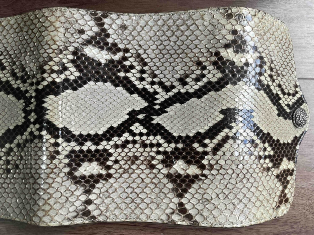 FUNNY N-Book パイソン(日焼け・上側)