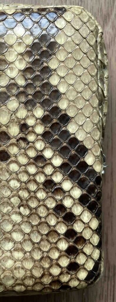 パイソンレザーは経年変化でウロコが寝る。