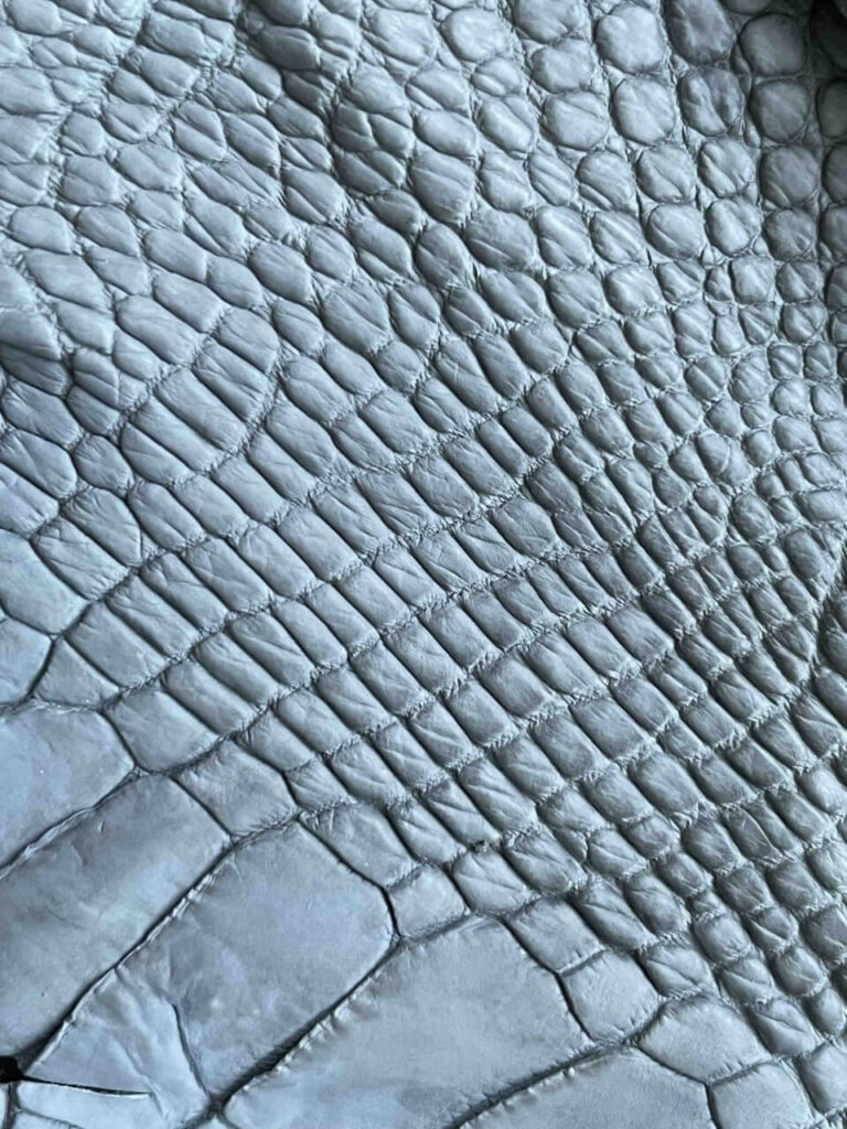リザードレザー グレー