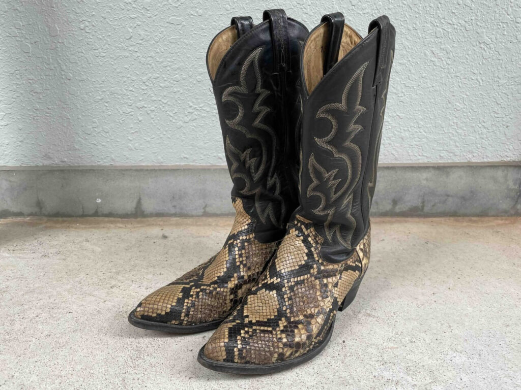 手入れ後のパイソンショートブーツ
