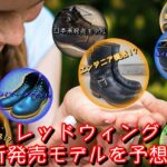 レッドウィングが今後展開する新商品を予想。