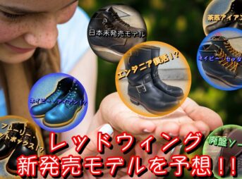 レッドウィングが今後展開する新商品を予想。