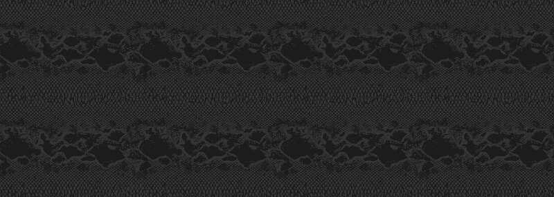 黒い蛇柄